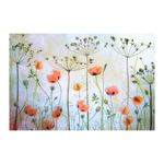 Poppy Meadow